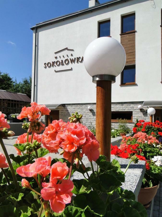 Willa Sokolowka Polanica-Zdroj Dış mekan fotoğraf